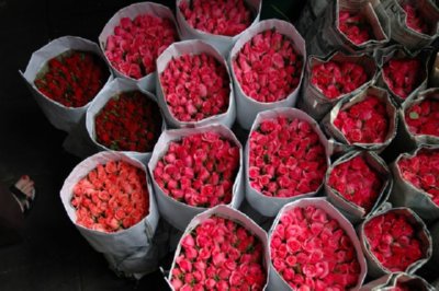 COMERCIO - RAMOS FLORES
